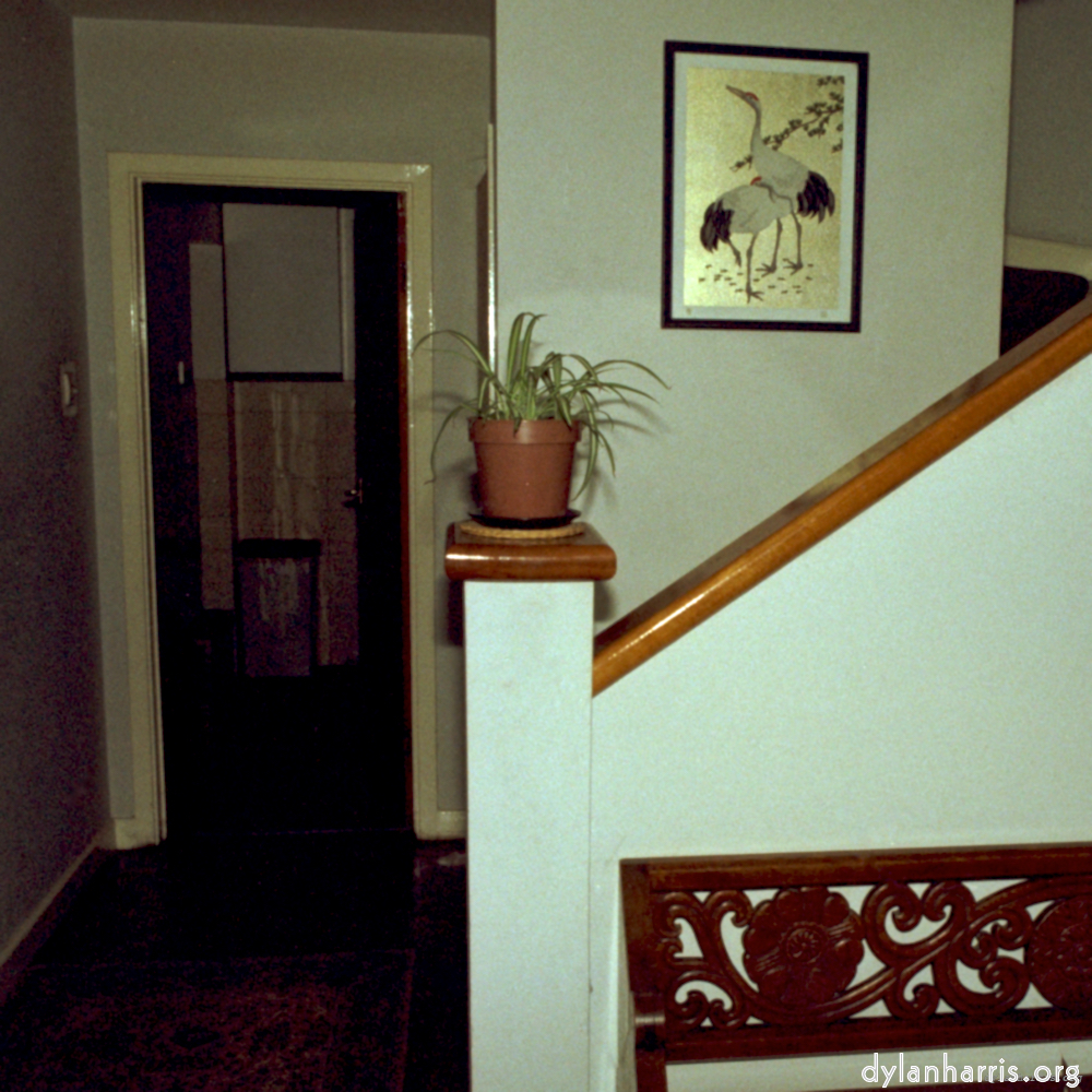 image: an image