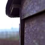 image: an image