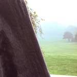 Image: First image from the photoset 'norwich (ii)'.