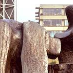 Image: Fifth image from the photoset 'norwich (ii)'.