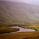 Image: Third image from the photoset 'highlands (ix)'.