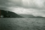 image: an image