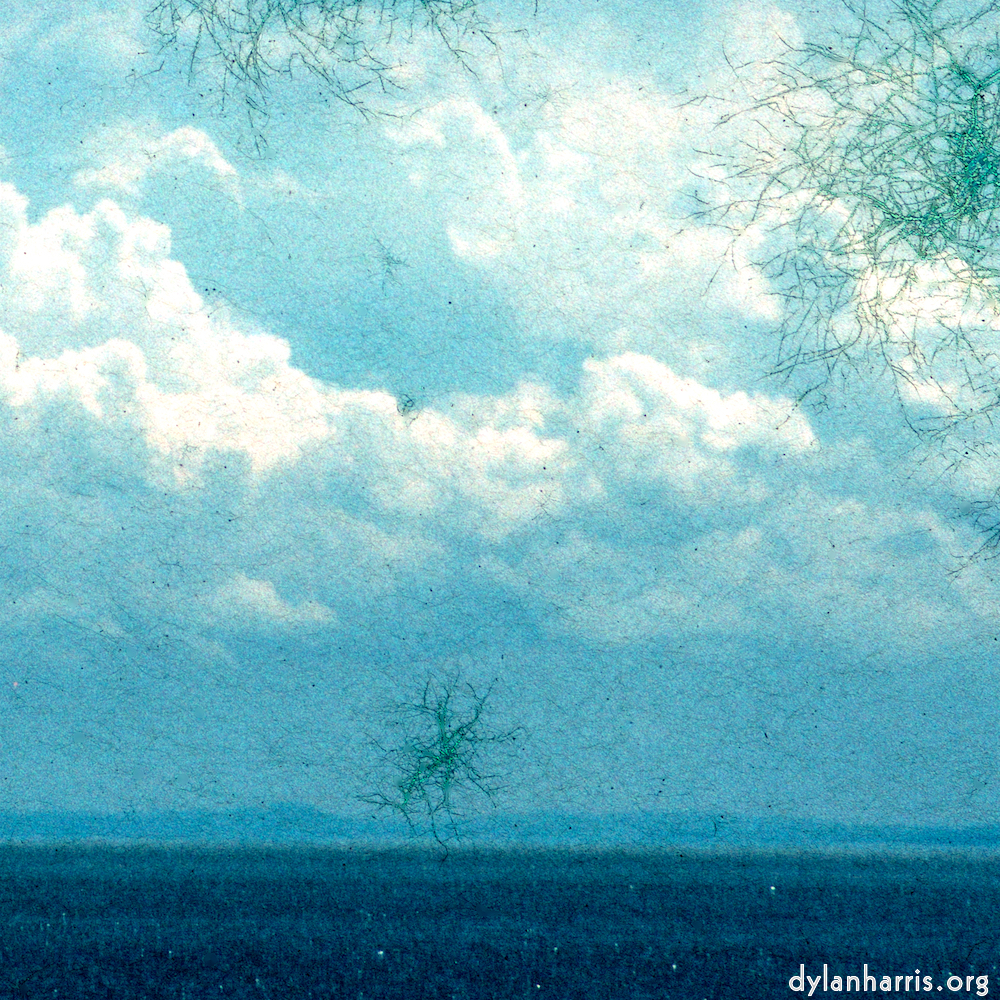 image: This is ‘damage (cccvi) 8’.
