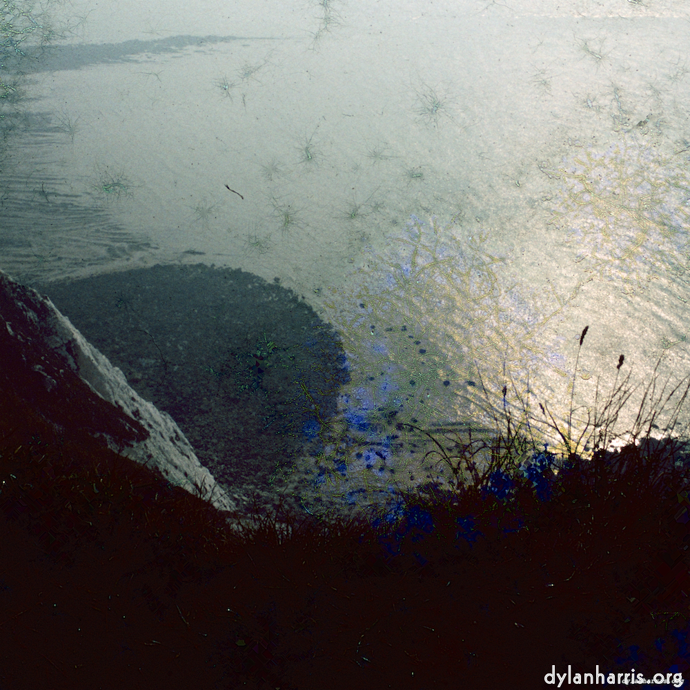 image: This is ‘damage (cccvii) 3’.