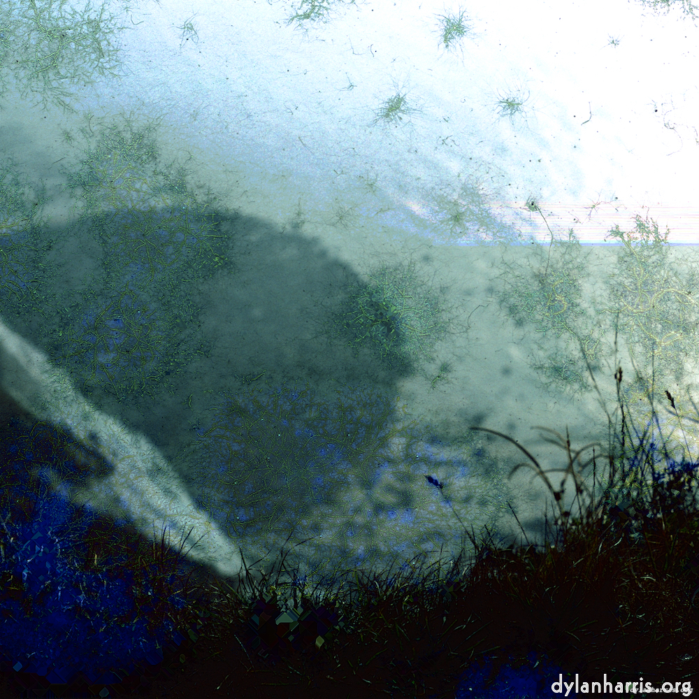 image: This is ‘damage (cccvii) 8’.