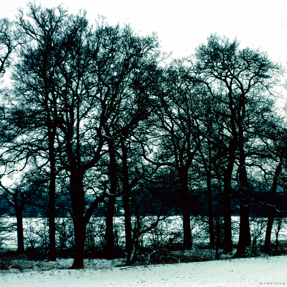 image: This is ‘damage (cccxv) 3’.