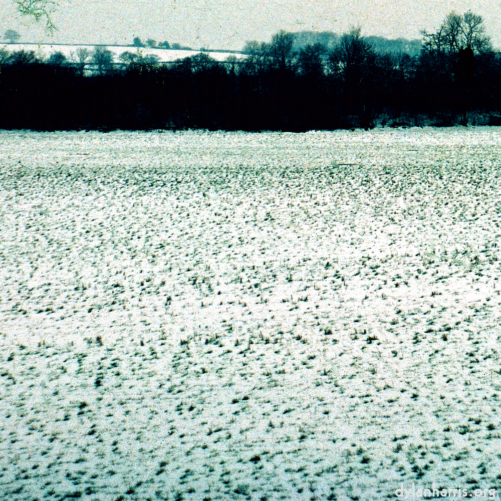image: This is ‘damage (cccxv) 5’.