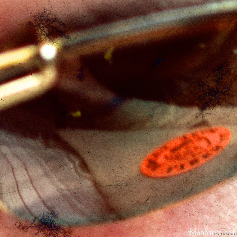 image: This is ‘damage (cccxvi) 1’.