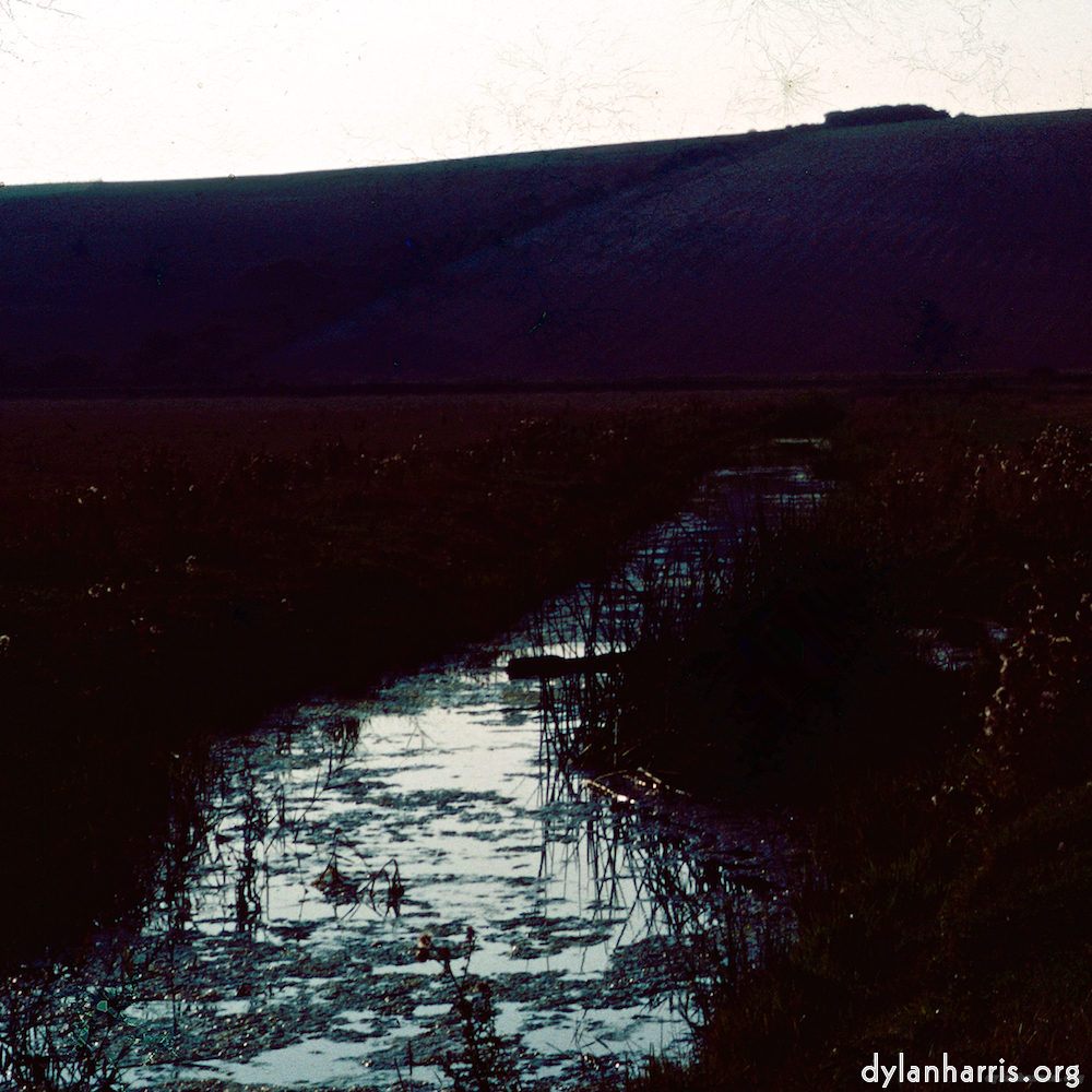image: This is ‘damage (cccxvi) 2’.