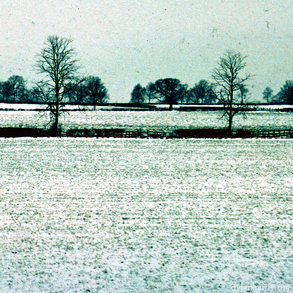 image: This is ‘damage (cccxvi) 5’.