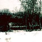 image: Image from the photoset ‘damage (cccxvi)’.