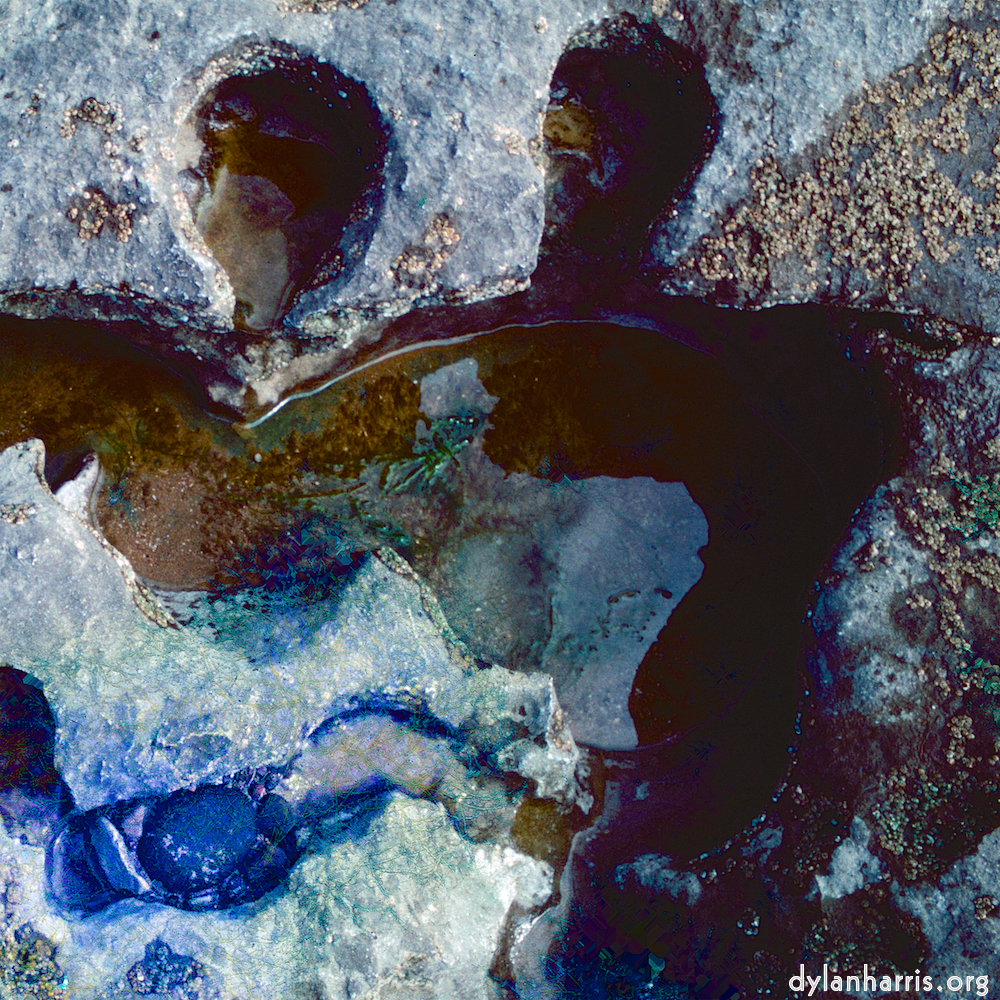image: This is ‘damage (cccxvii) 1’.