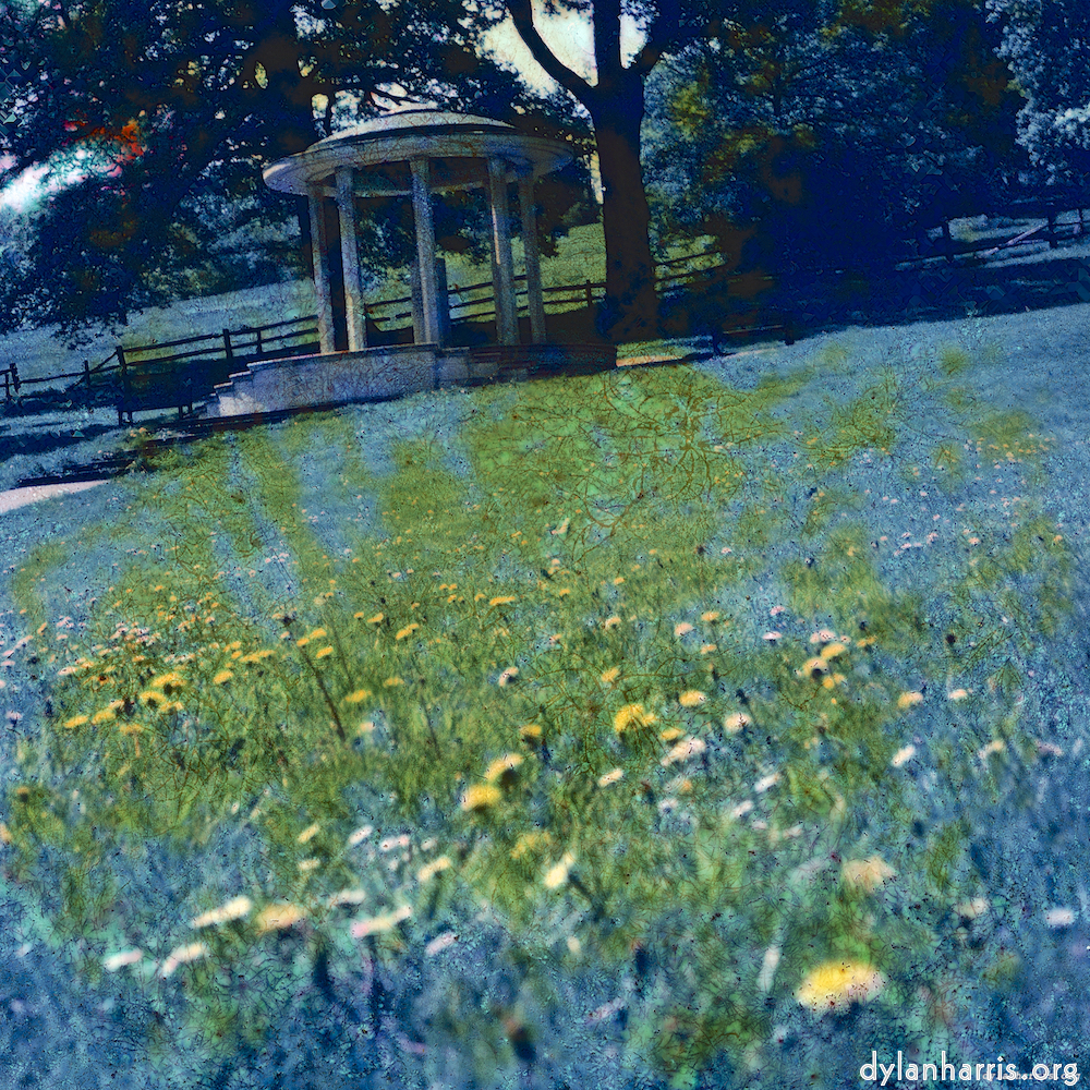 image: This is ‘damage (ccxxxvi) 5’.