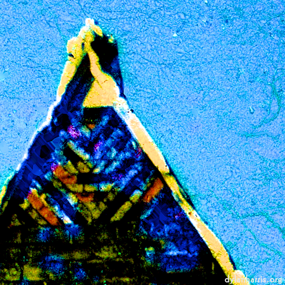 image: This is ‘damage (ccxxxvii) 8’.