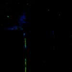 image: Image from the photoset ‘damage (ccxlii)’.