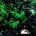 Ninth image from the photoset 'damage (ccxlix)'.