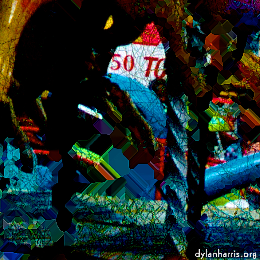 image: This is ‘damage (cclvii) 5’.