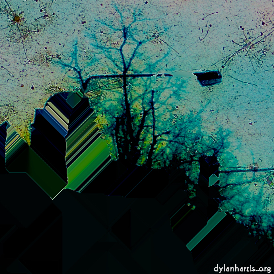 image: This is ‘damage (ccxxix) 6’.