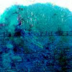 image: Image from the photoset ‘damage (ccxxx)’.