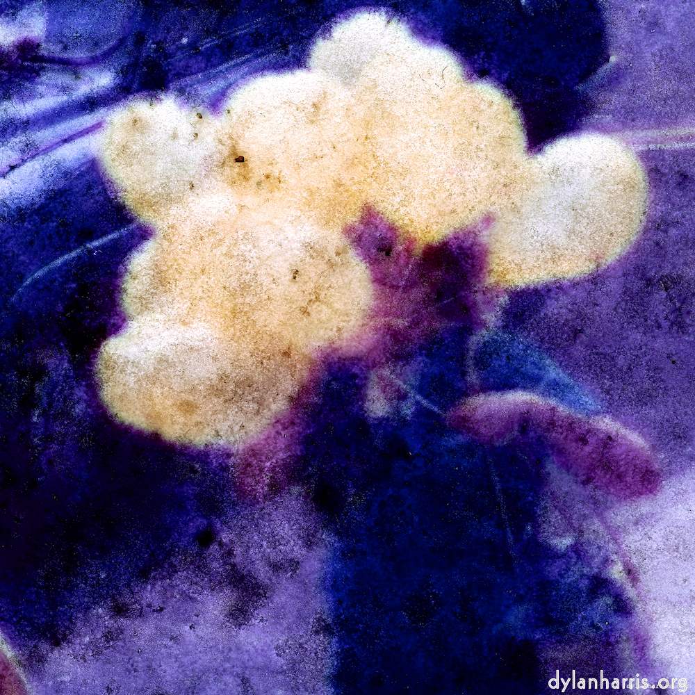 Image: Image 'damage (ccxxxi) 6'.