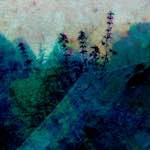 Image: Second image from the photoset 'damage (ccxxxi)'.
