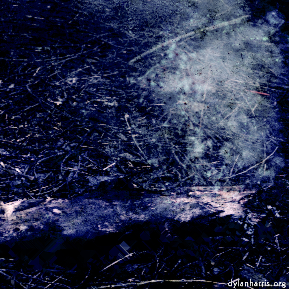 image: This is ‘damage (xix) 5’.