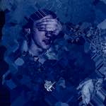 image: Image from the photoset ‘damage (xx)’.