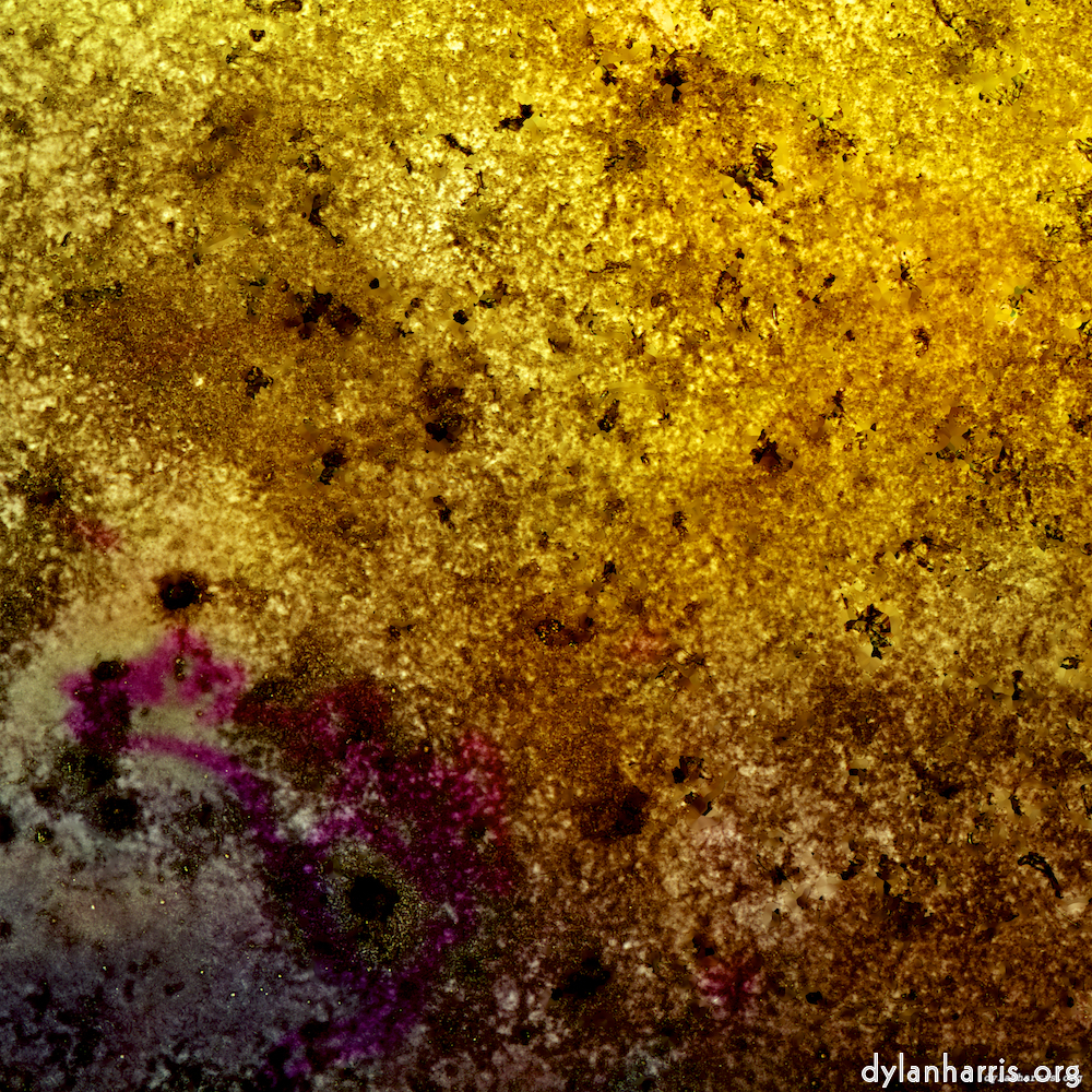 image: This is ‘damage (xxi) 5’.