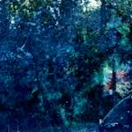 image: Image from the photoset ‘damage (xxiv)’.