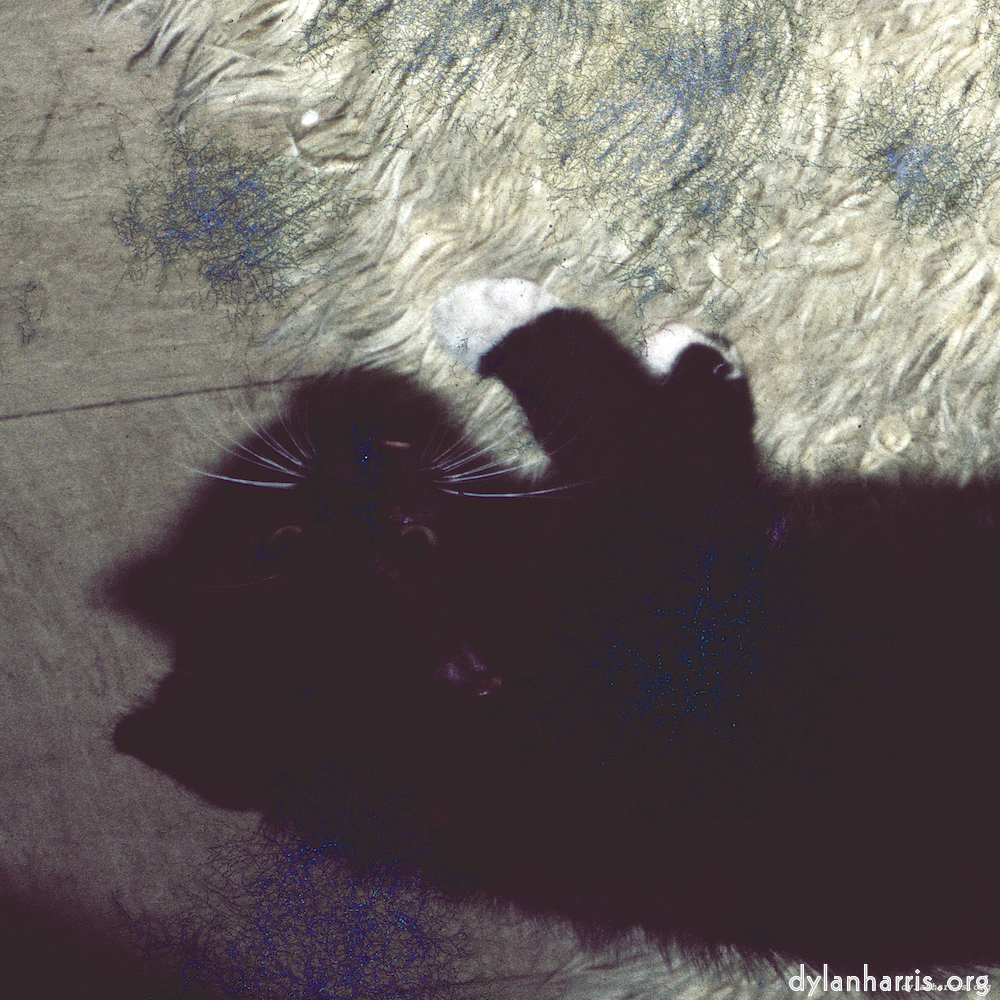 image: This is ‘damage (ccxcvi) 2’.