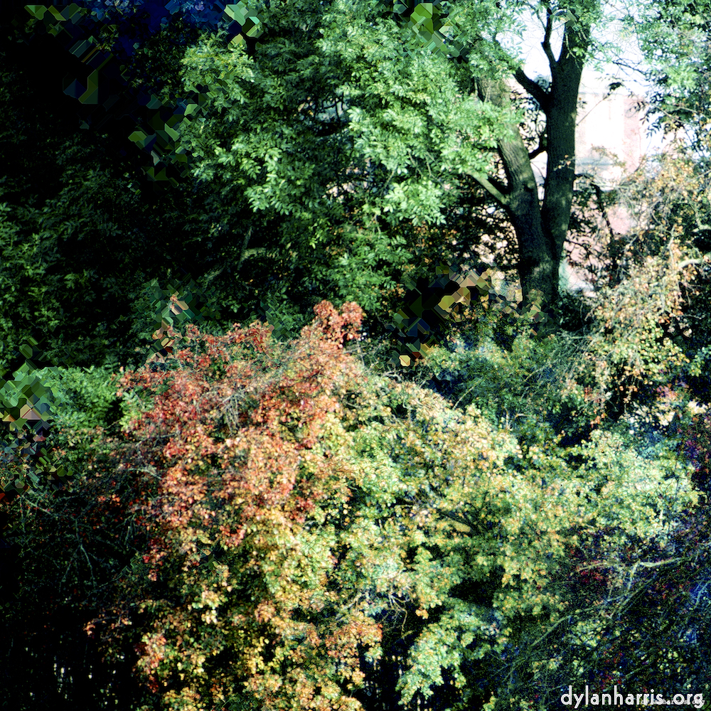 image: This is ‘damage (ccxcvi) 8’.