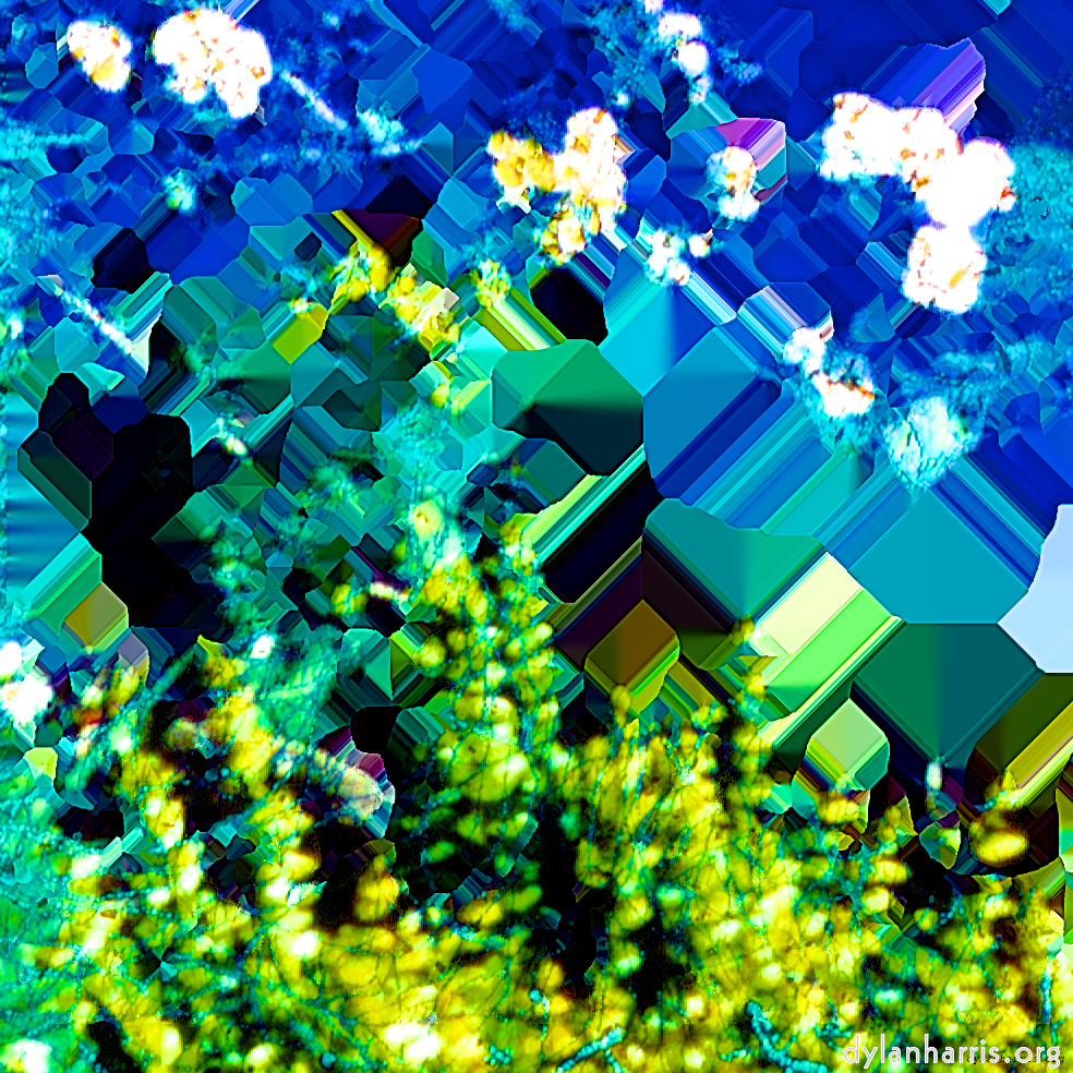 image: This is ‘damage (ccic) 5’.