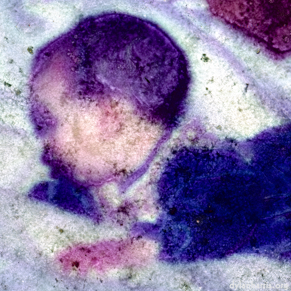 image: This is ‘damage (xvi) 3’.