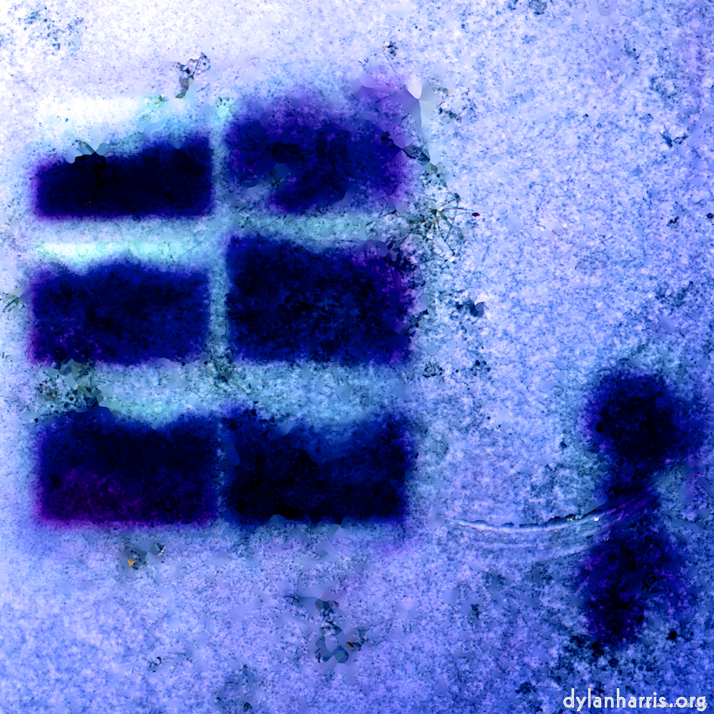 image: This is ‘damage (xvii) 5’.