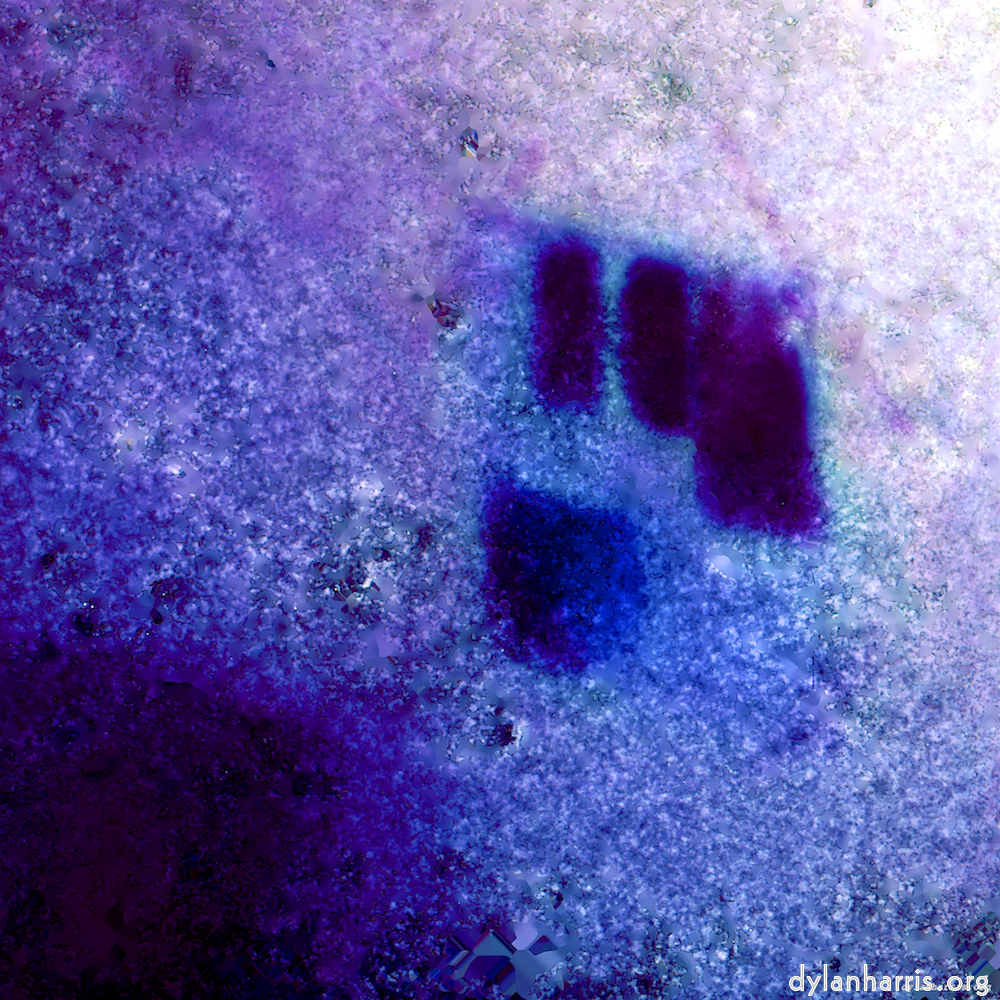 image: This is ‘damage (xviii) 1’.
