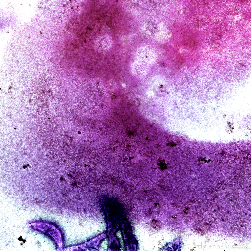 image: This is ‘damage (vi) 2’.