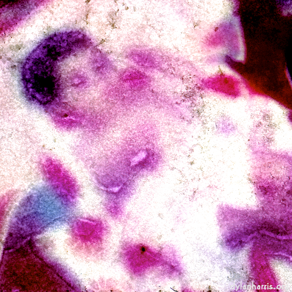 image: This is ‘damage (vi) 5’.