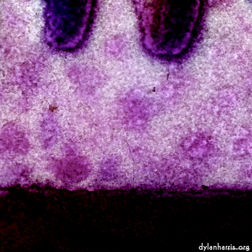 image: This is ‘damage (vii) 6’.