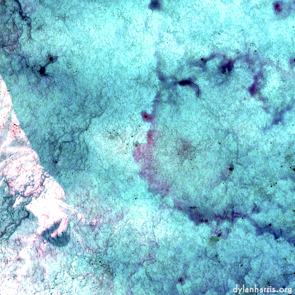 image: This is ‘damage (xiii) 7’.