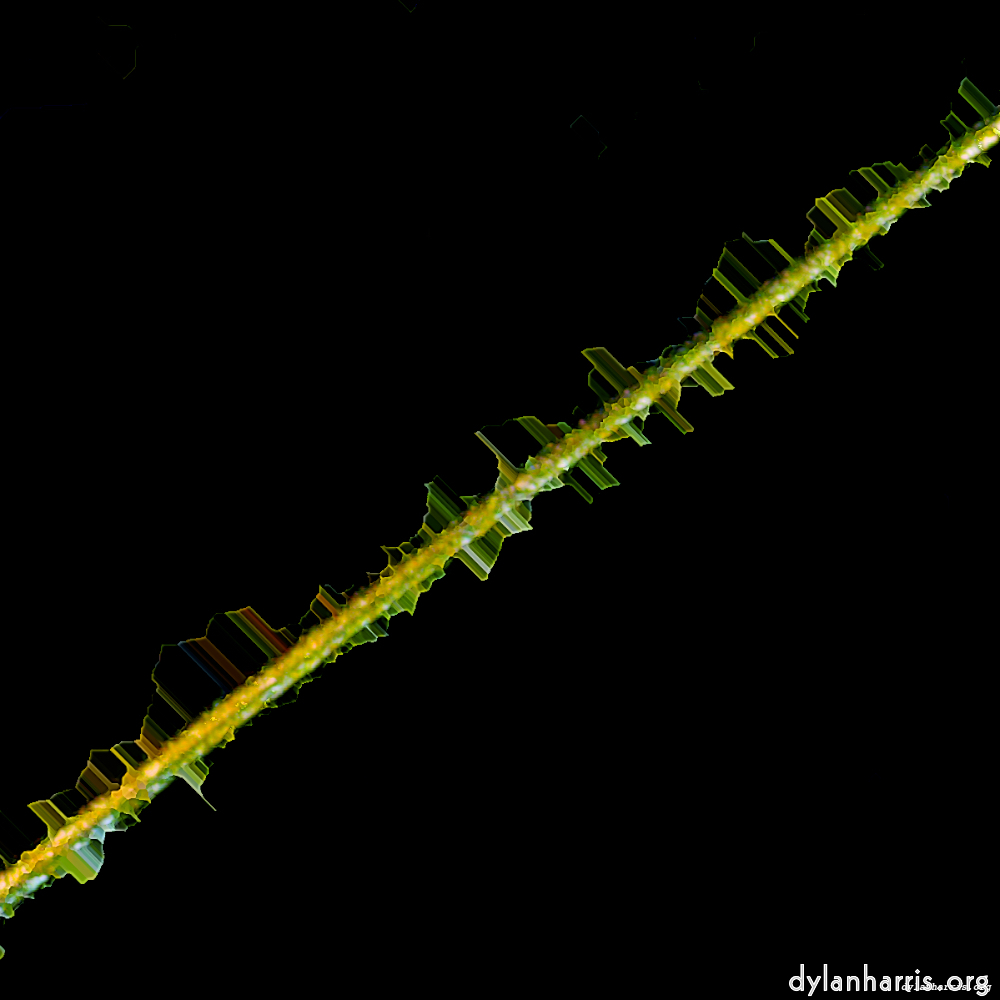 image: This is ‘damage (clxvi) 6’.
