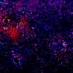 image: Image from the photoset ‘damage (xliii)’.