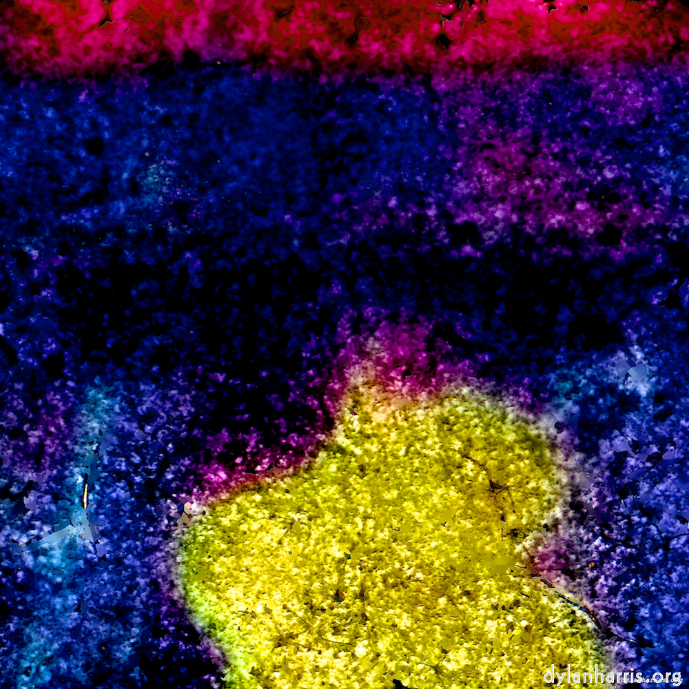 image: This is ‘damage (xliv) 4’.