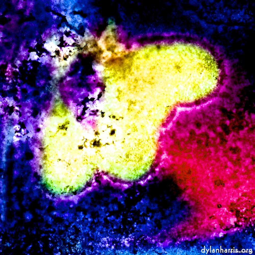 image: This is ‘damage (xliv) 6’.