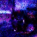 Image: Eighth image from the photoset 'damage (xlvi)'.