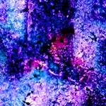 Image: Ninth image from the photoset 'damage (xlvi)'.