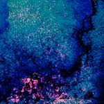 image: Image from the photoset ‘damage (li)’.