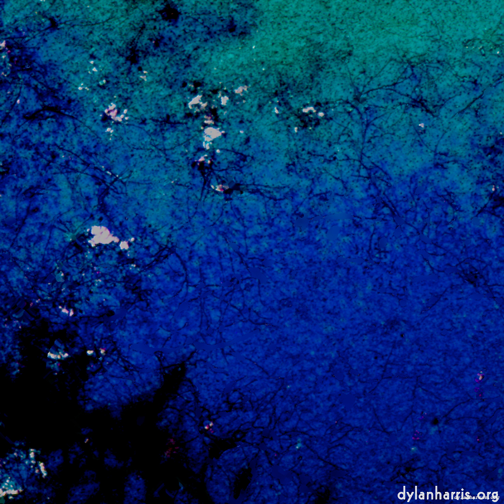 image: This is ‘damage (lviii) 6’.