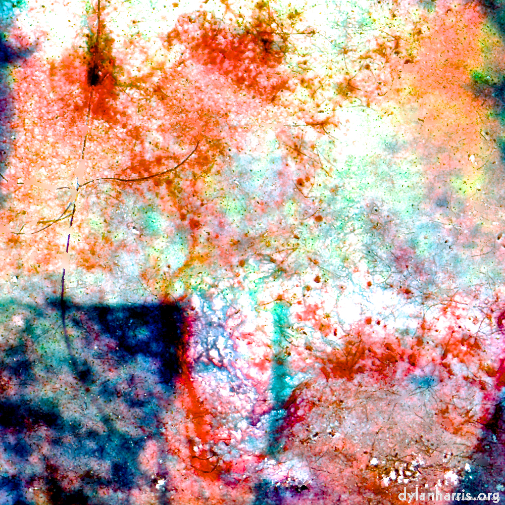 image: This is ‘damage (lxxiv) 5’.