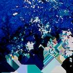 Image: Sixth image from the photoset 'damage (lxxvi)'.