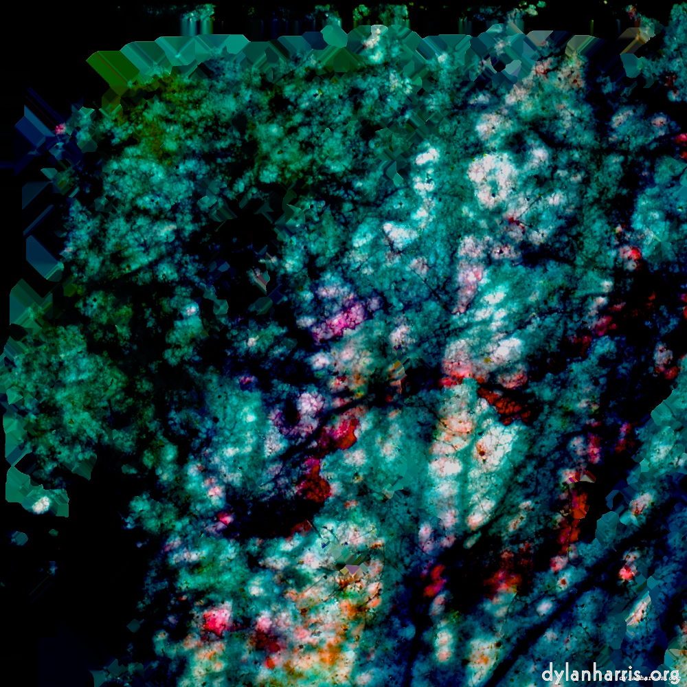 image: This is ‘damage (lxxix) 1’.